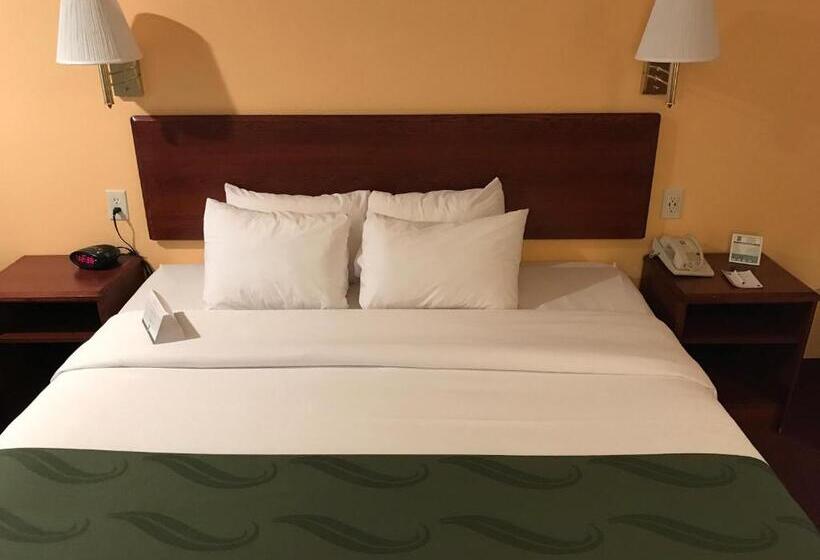 스탠다드 룸 킹사이즈 침대, Quality Inn Cedar City   University Area
