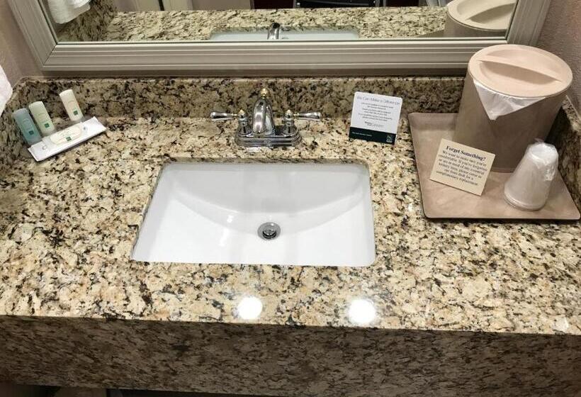اتاق استاندارد با تخت بزرگ, Quality Inn Cedar City   University Area