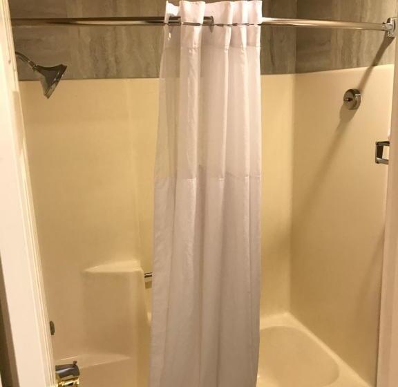 스탠다드 룸 킹사이즈 침대, Quality Inn Cedar City   University Area