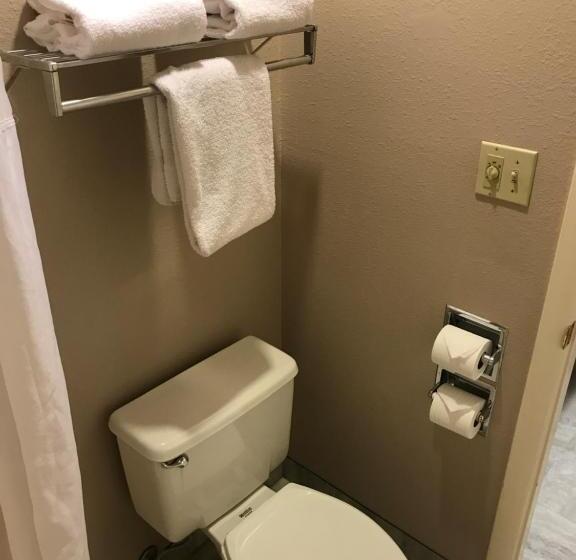 Стандартный Номер Кровать Кинг, Quality Inn Cedar City   University Area