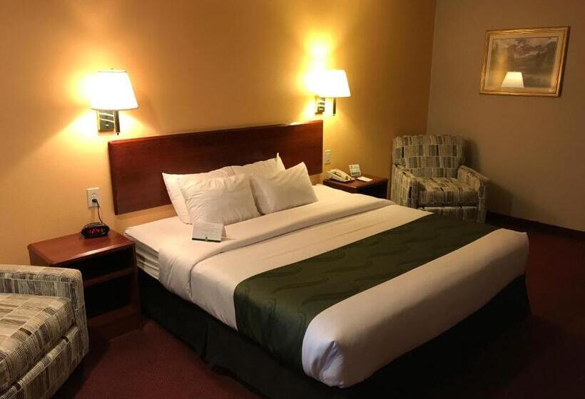 스탠다드 룸 킹사이즈 침대, Quality Inn Cedar City   University Area