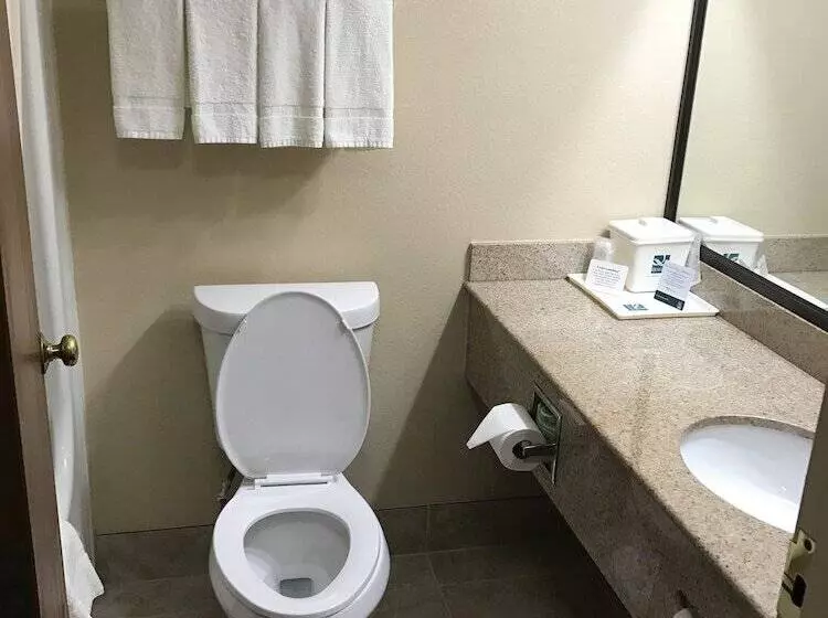 2ダブルベッドのスタンダードルーム, Quality Inn Schenectady Albany