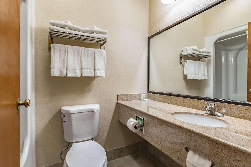 스탠다드 룸 킹사이즈 침대, Quality Inn Schenectady  Albany
