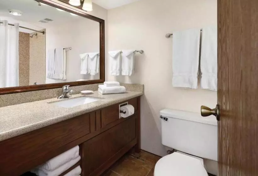 اتاق استاندارد با تخت بزرگ, Ramkota Hotel   Casper