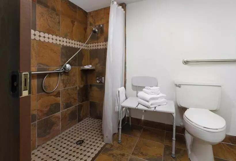 اتاق استاندارد با تخت بزرگ برای معلولان, Ramkota Hotel   Casper