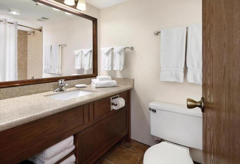 جناح سرير كينج, Ramkota Hotel   Casper