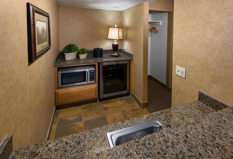 جناح سرير كينج, Ramkota Hotel   Casper