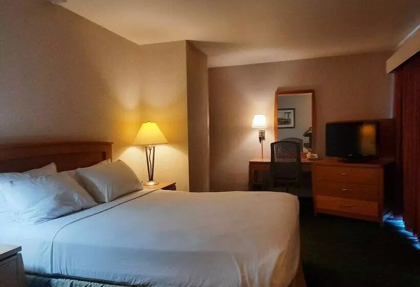 Standard-huone, Rivertree Inn & Suites