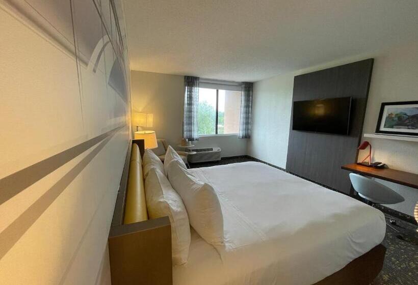 스탠다드 룸 킹사이즈 침대, Saint Louis Airport