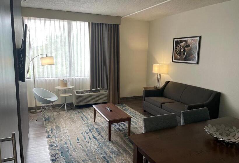 이그제큐티브 스위트 킹침대, Saint Louis Airport