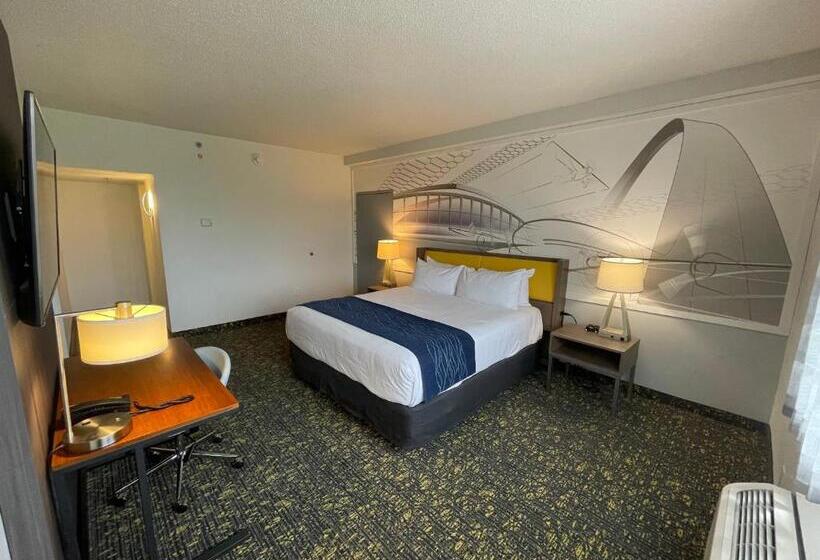 이그제큐티브 스위트 킹침대, Saint Louis Airport