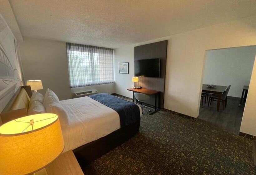 이그제큐티브 스위트 킹침대, Saint Louis Airport