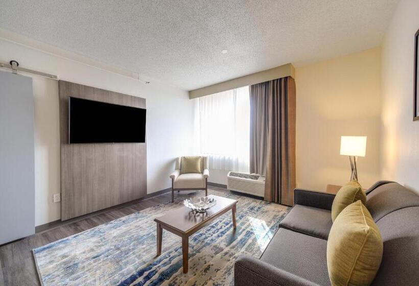 이그제큐티브 스위트 킹침대, Saint Louis Airport