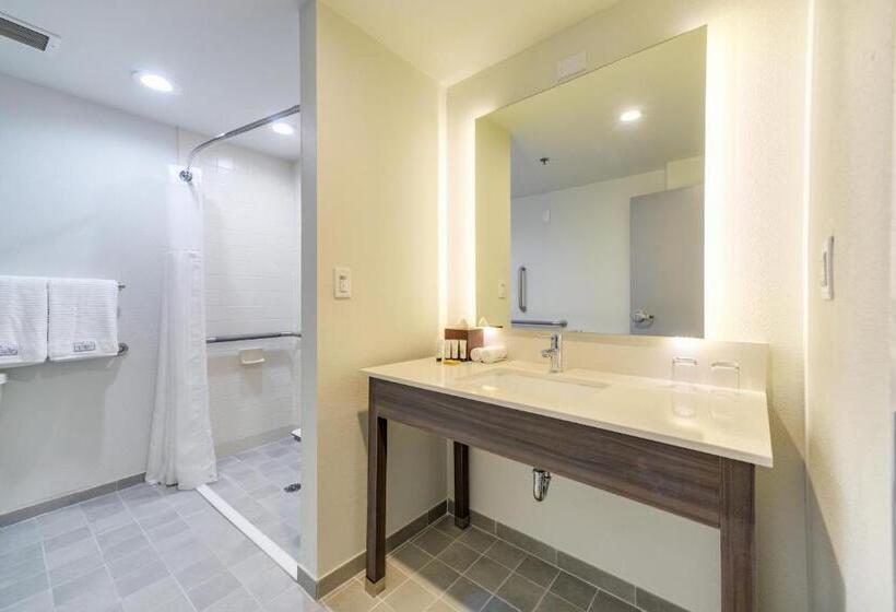 장애인을 위한 킹사이즈 침대 스탠다드 룸, Saint Louis Airport