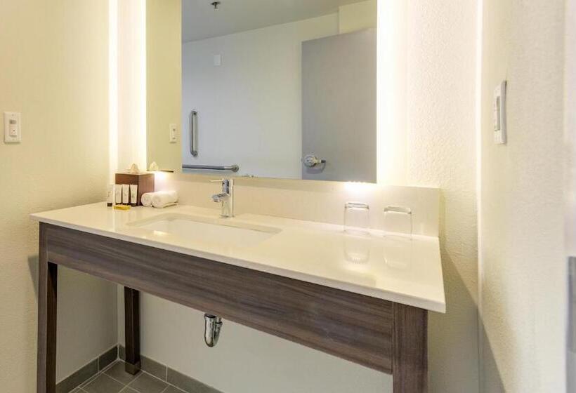 장애인을 위한 킹사이즈 침대 스탠다드 룸, Saint Louis Airport