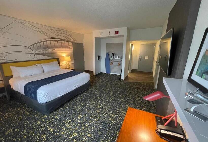 장애인을 위한 킹사이즈 침대 스탠다드 룸, Saint Louis Airport