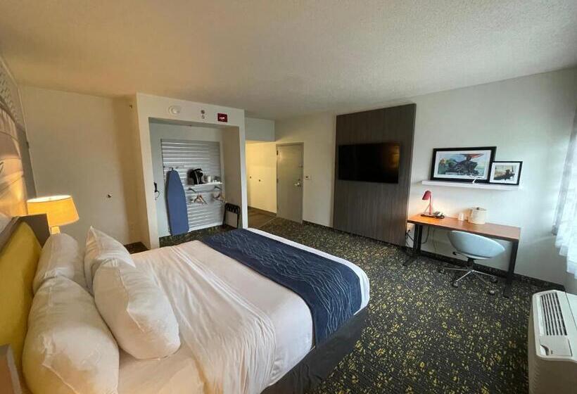 장애인을 위한 킹사이즈 침대 스탠다드 룸, Saint Louis Airport