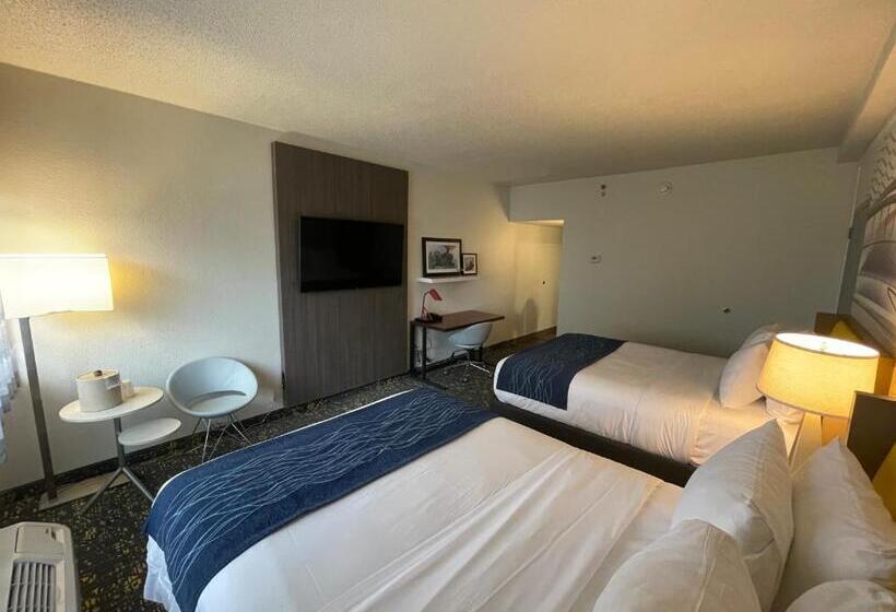 스탠다드 룸, Saint Louis Airport