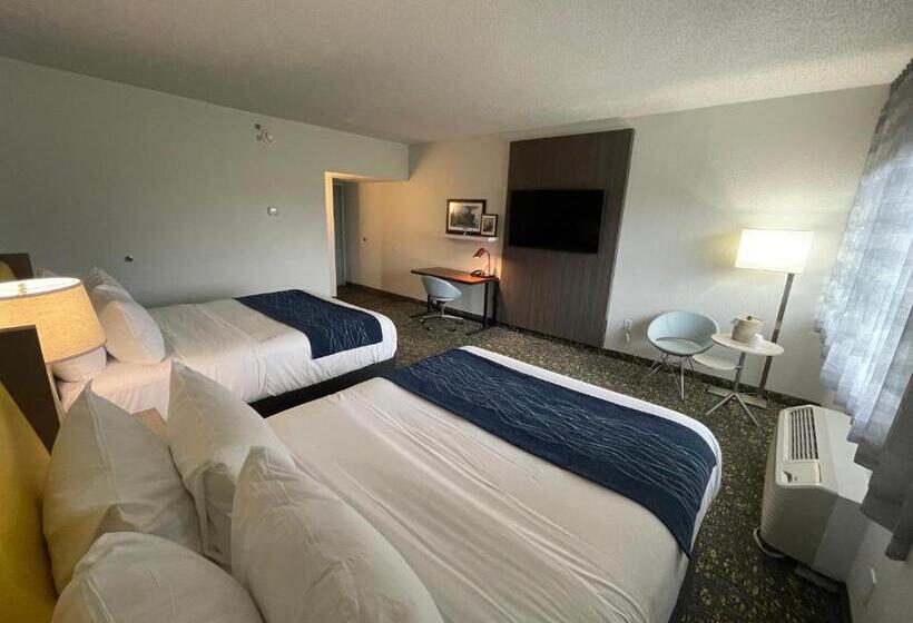 스탠다드 룸, Saint Louis Airport