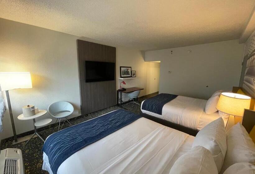 스탠다드 룸, Saint Louis Airport