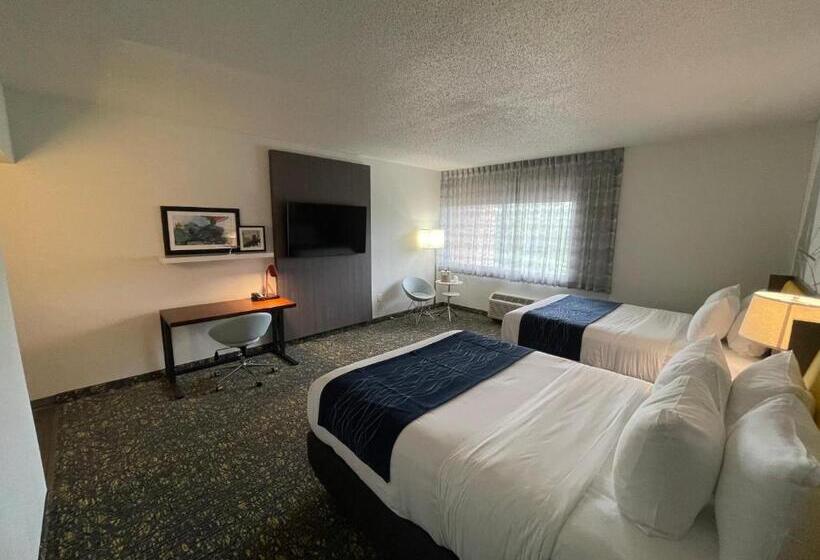 스탠다드 룸, Saint Louis Airport