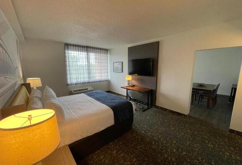 디럭스 룸 킹사이즈 침대, Saint Louis Airport