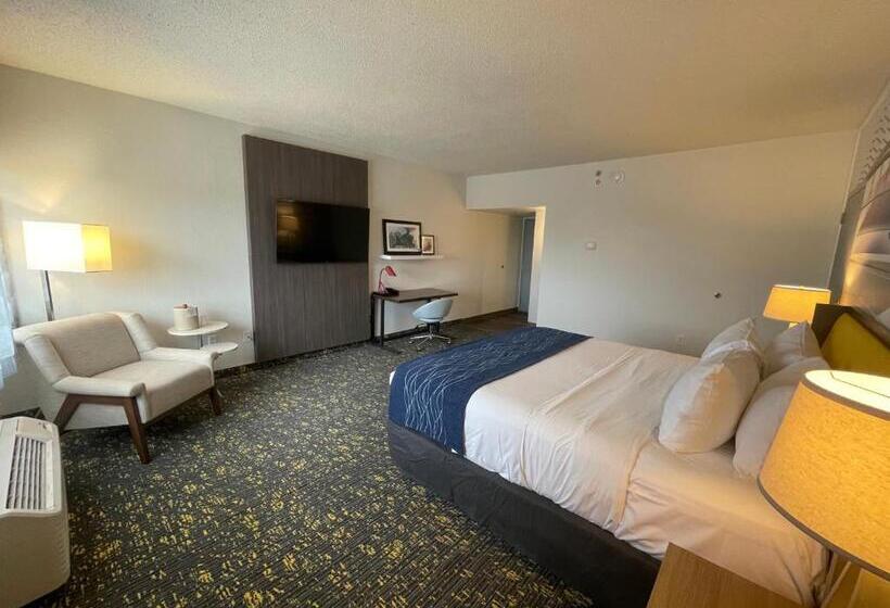 디럭스 룸 킹사이즈 침대, Saint Louis Airport