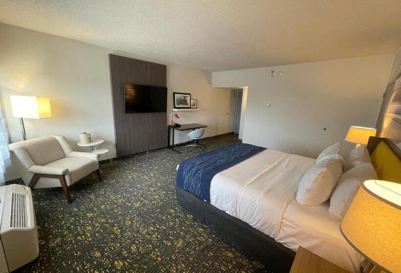 디럭스 룸 킹사이즈 침대, Saint Louis Airport