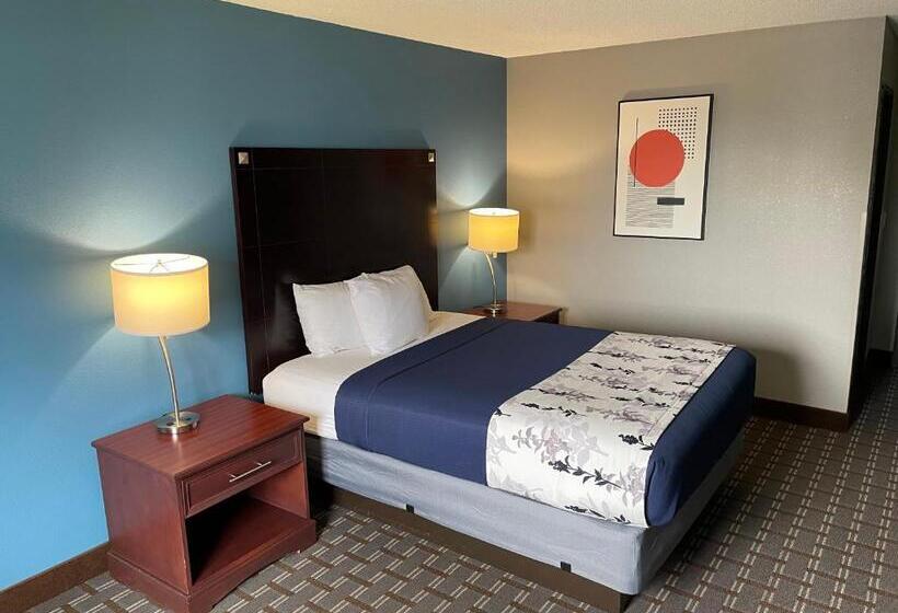 キングサイズベッドのスタンダードルーム, American Inn Cedar Rapids South