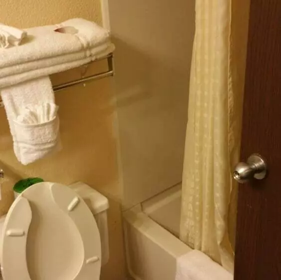 ジュニアスイート, Americourt Hotel And Suites   Elizabethton