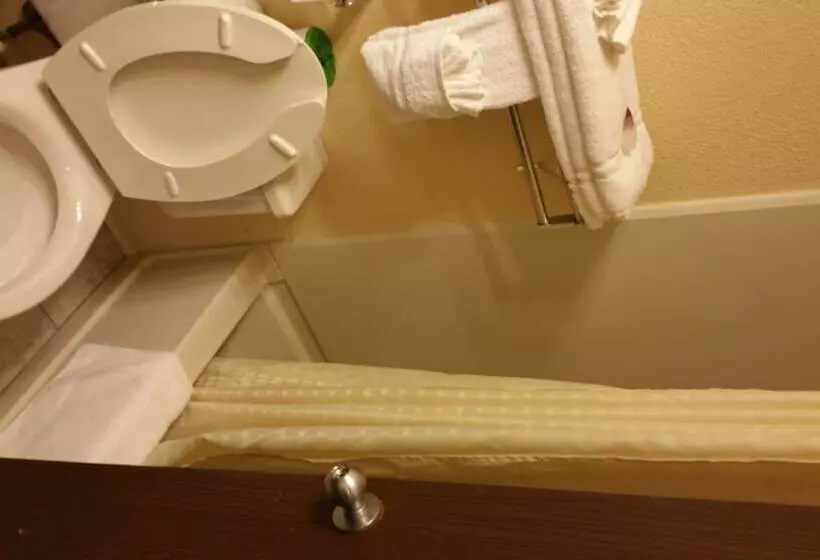 ジュニアスイート, Americourt Hotel And Suites   Elizabethton