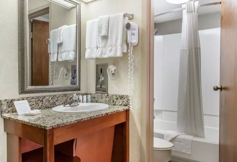 ２ダブルベッドのスタンダードルーム, Clarion Hotel Broken Arrow   Tulsa
