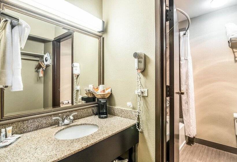 Camera Standard 2 Letti Matrimoniali, Comfort Inn Convention Centerchicago O Hare Airport