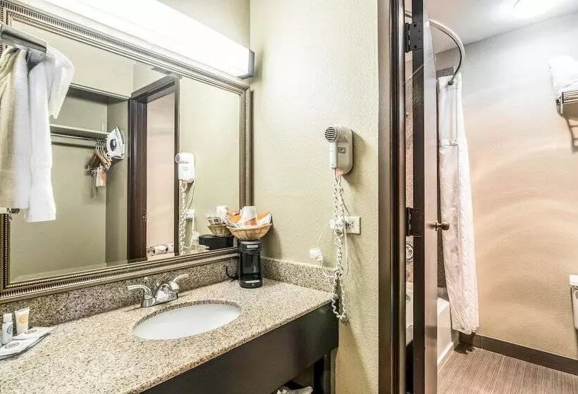اتاق استاندارد با 2 تخت دوبل, Comfort Inn Convention Centerchicago O Hare Airport