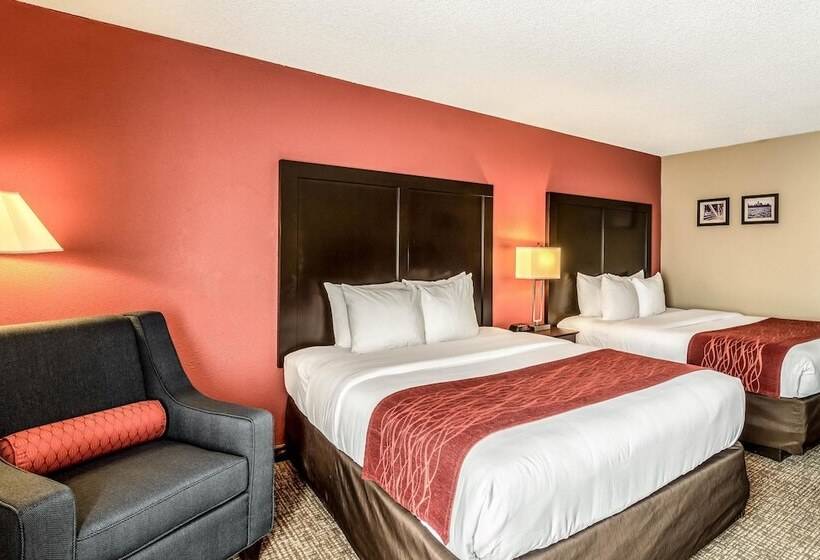 اتاق استاندارد با 2 تخت دوبل, Comfort Inn Convention Centerchicago O Hare Airport