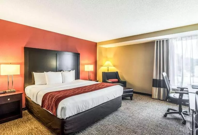 اتاق استاندارد با تخت بزرگ, Comfort Inn Convention Centerchicago O Hare Airport