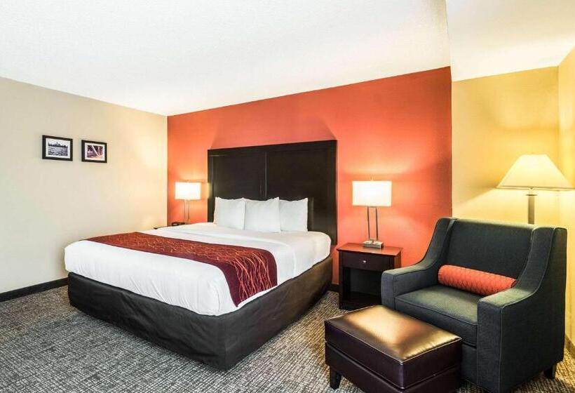 اتاق استاندارد با تخت بزرگ, Comfort Inn Convention Centerchicago O Hare Airport