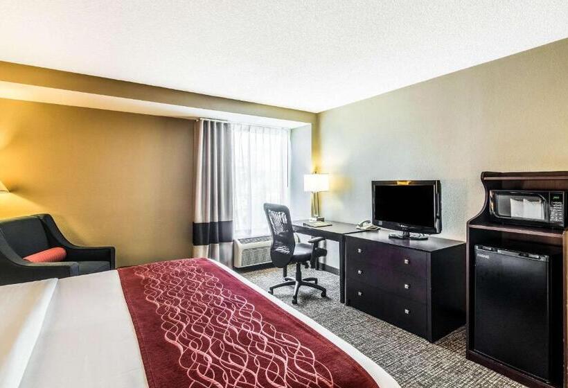 اتاق استاندارد با تخت بزرگ, Comfort Inn Convention Centerchicago O Hare Airport