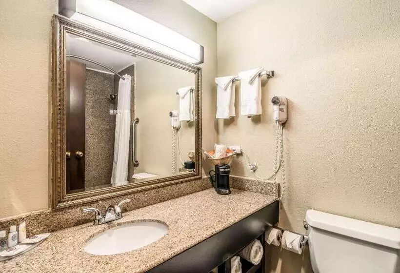 اتاق استاندارد, Comfort Inn Convention Centerchicago O Hare Airport