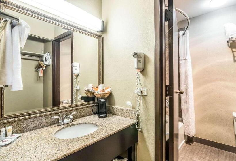 Camera Standard 2 Letti Matrimoniali, Comfort Inn Convention Centerchicago O Hare Airport