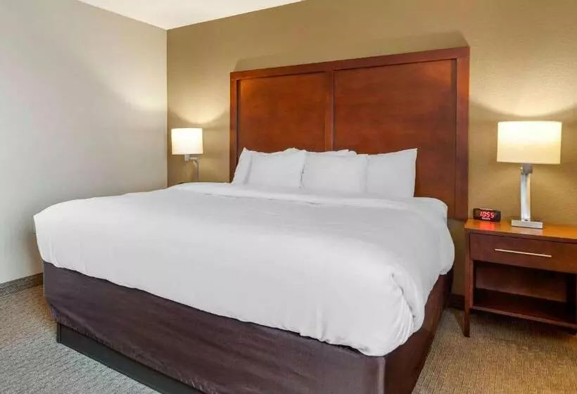 اتاق استاندارد با تخت بزرگ, Comfort Inn