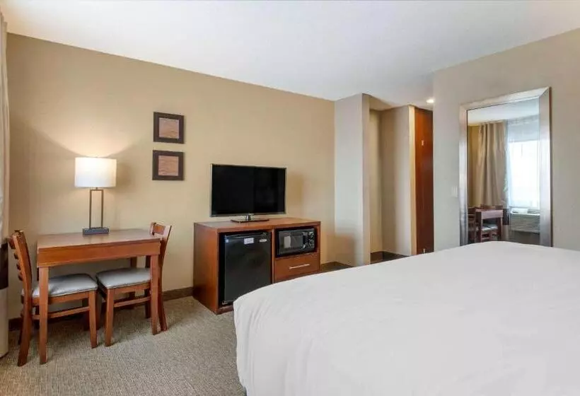 اتاق استاندارد با تخت بزرگ, Comfort Inn