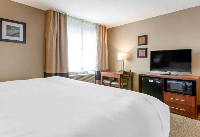 اتاق استاندارد با تخت بزرگ, Comfort Inn