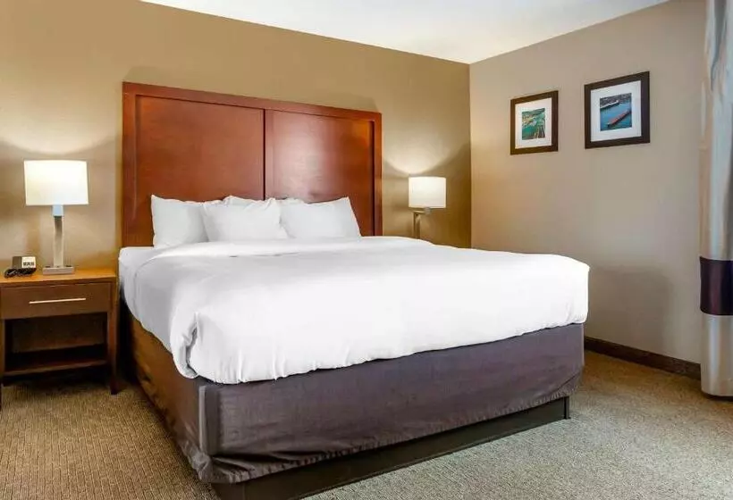 اتاق استاندارد با تخت بزرگ, Comfort Inn