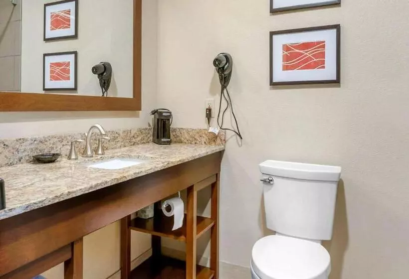 اتاق استاندارد با تخت بزرگ, Comfort Inn