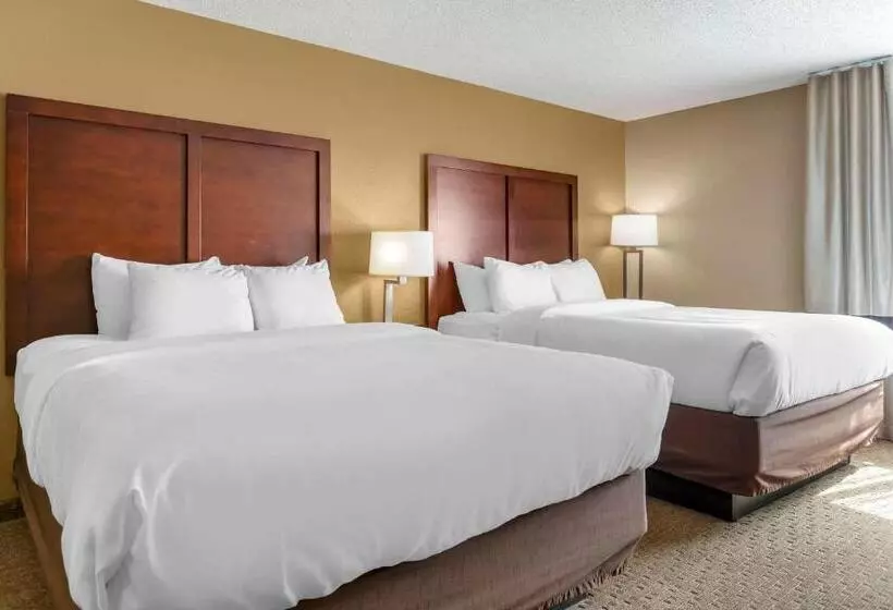 اتاق استاندارد, Comfort Inn