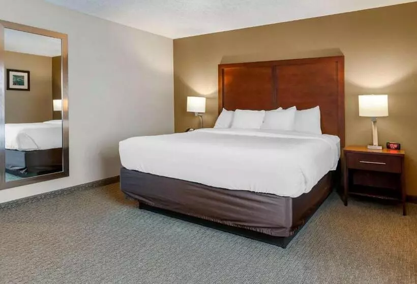 سوییت لوکس, Comfort Inn