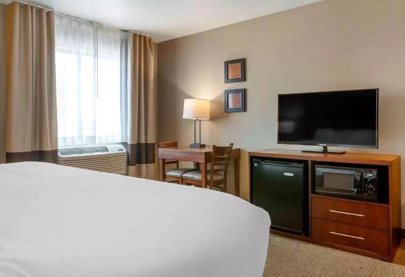 سوییت لوکس, Comfort Inn