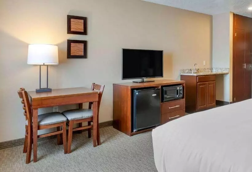 سوئیت با تخت بزرگ, Comfort Inn