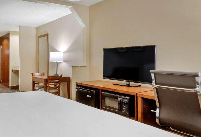 سوئیت با تخت بزرگ, Comfort Inn